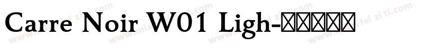 Carre Noir W01 Ligh字体转换